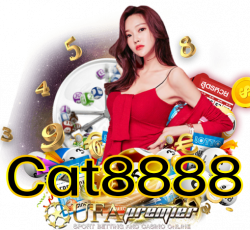 cat8888 login